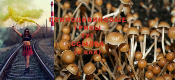 соль ск Балабаново