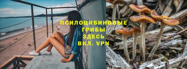 соль ск Балабаново