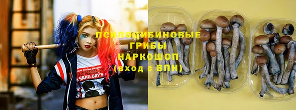 твердый Каменка