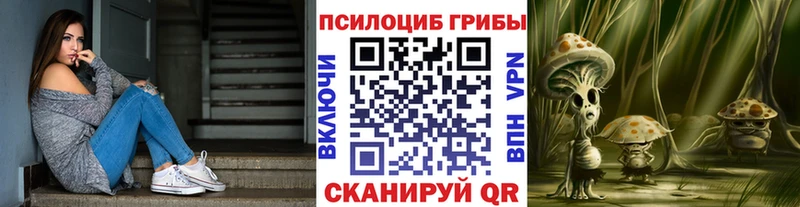 Псилоцибиновые грибы мухоморы Северо-Курильск
