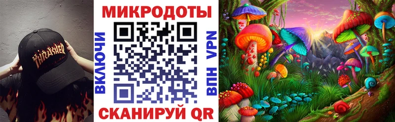 Галлюциногенные грибы Psilocybine cubensis  Северо-Курильск 
